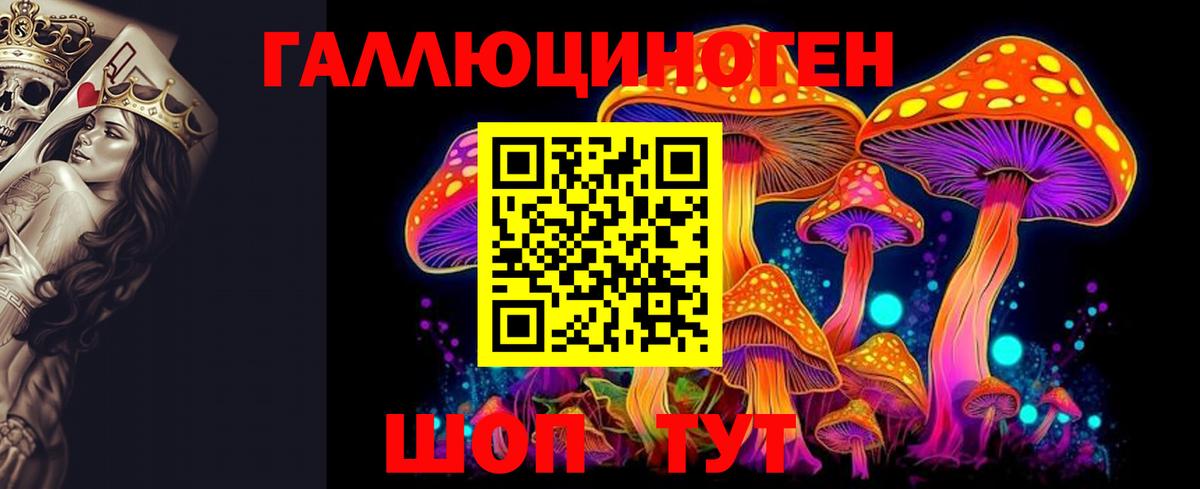 Мытищи  Галлюциногенные грибы мухоморы  Вход с VPN 